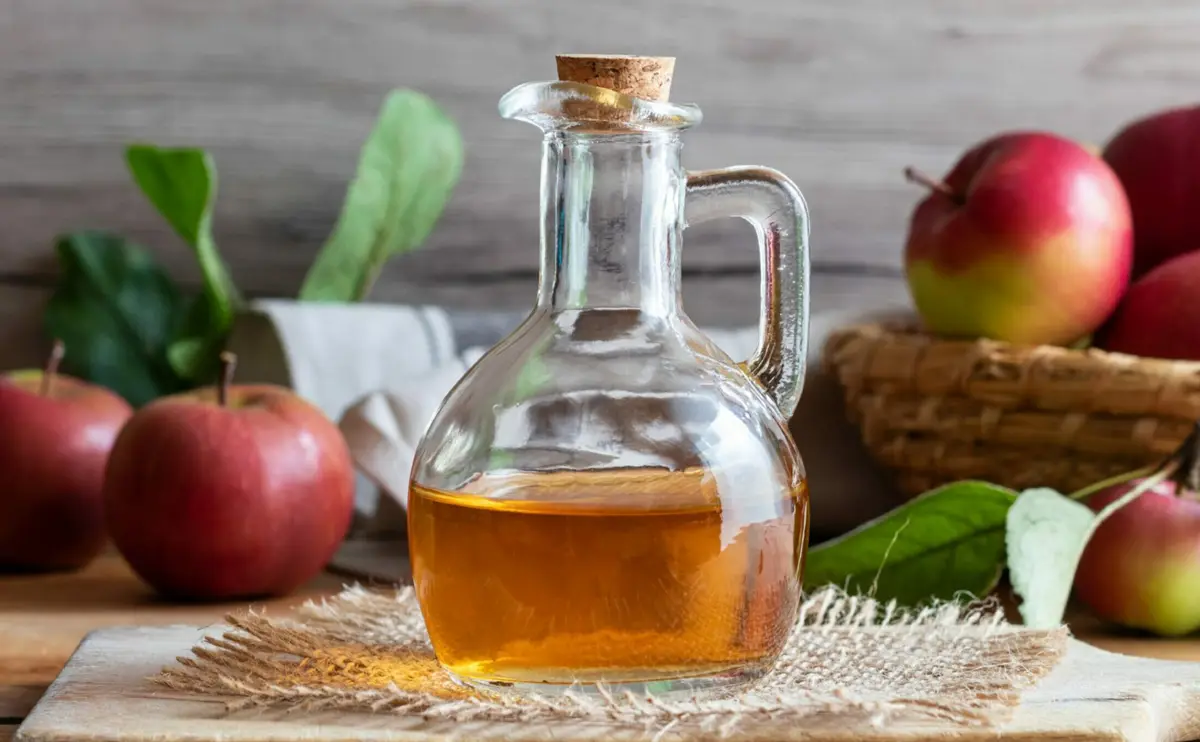 Sirkenin İnanılmaz Faydaları